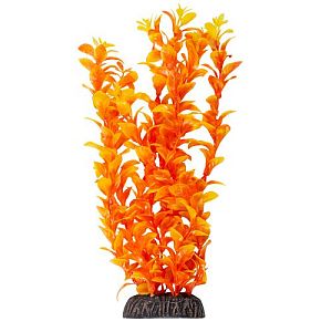 Растение Laguna «Людвигия» ярко-оранжевая, 300 мм
