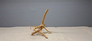 Коряга Сакура S, 15&minus;25&nbsp;см