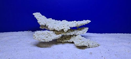 Камень Рифовый Белый, 27х18х13 см, 1080 г