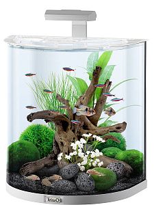 Tetra AquaArt Explorer Line аквариум белый, 60 л