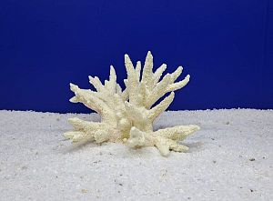 Кр-4500&nbsp;Коралловый Пальчик Белый, 20х20&times;10&nbsp;см