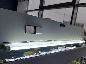 Аквариум АТОЛЛ с тумбой, оборудованием и оформлением, 370 л