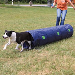Тоннель TRIXIE для собаки D 40 см, 2 м, нейлон
