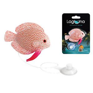 Рыбка декоративная Laguna «Тиляпия», 97х140×25 мм, блистер