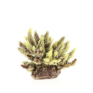 Коралл VITALITY мягкий, пластик, коричневый, 11,5x10×9 см