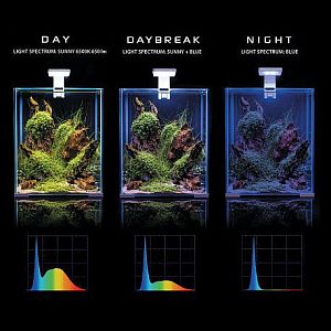 Aквариум Aquael SHRIMP SET SMART LED DAY&NIGHT 20 черный, 19 л