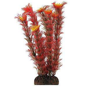 Растение Laguna «Амбулия» красная, 200 мм