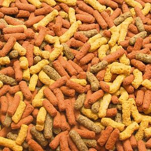 JBL Pond Coloron корм для прудовых рыб, способствующий усилению естественной окраски, палочки 5,5&nbsp;л