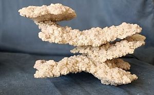 Рифовый камень большой 16×31 см