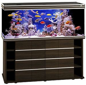 Аквариум Псевдоморе с тумбой STELLEX AQUA 450, 450 л, 151х56×142 см