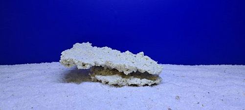 Камень Рифовый Белый, 26х18х8 см, 920 г