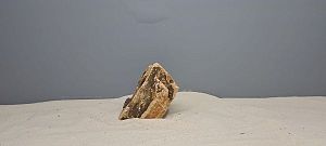 Камень GLOXY «Дракон» 9−12 см, вес 300−900 г, цена за 1 шт.