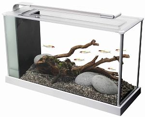 Fluval SPEC аквариум, 19 л, белый