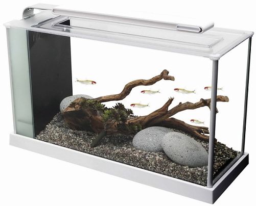 Fluval SPEC аквариум, 19 л, белый