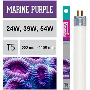 Лампа флуоресцентная Arcadia Т5 Marine Purple 24 Вт, 550 мм