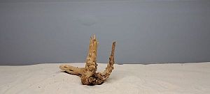 Коряга Сакура S, 15&minus;25&nbsp;см