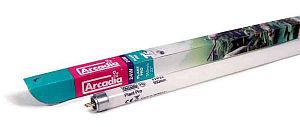 Лампа флуоресцентная Arcadia T5&nbsp;EXTRA PLANT PRO 24&nbsp;Вт, 550&nbsp;мм