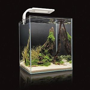 Aquael Shrimp Set SMART 20&nbsp;аквариум белый, 19&nbsp;л