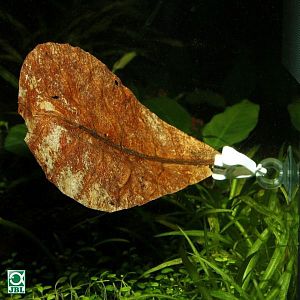 JBL Food Clip универсальный держатель для корма с присоской, 2 шт.