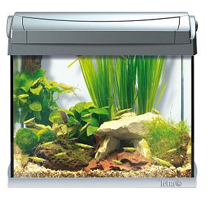 Tetra AquaArt Shrimps Discover Line 20l аквариумный комплект, 20 л