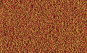 TetraCichlid Colour корм для яркого окраса цихлид, мульти шарики 10&nbsp;л