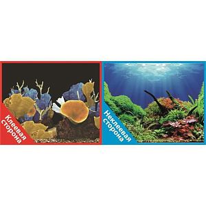 Фон Prime двухсторонний с одной самоклеящейся стороной Подводный мир/Морские кораллы, 50×100 см
