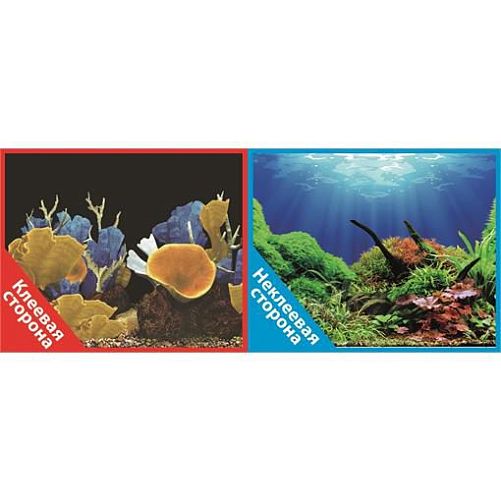 Фон Prime двухсторонний с одной самоклеящейся стороной Подводный мир/Морские кораллы, 50x100 см