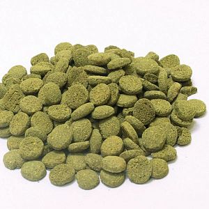 Основной корм JBL NovoPleco для кольчужных сомов, чипсы 100 мл