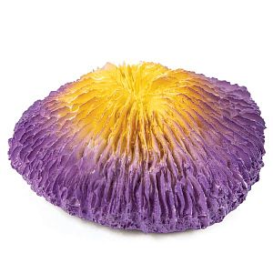 Коралл искусственный Laguna «Фунгия», желто-фиолетовая, 100х40×100 мм