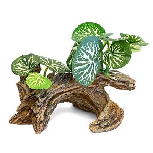 Коряга с растениями Laguna, 130х60×50 мм