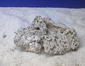 Камень сухой рифовый, плоский, 1&nbsp;кг