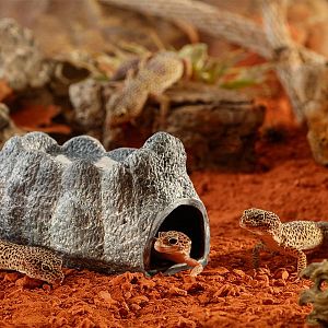 Влажная пещера Exo Terra Wet Rock Ceramic Cave Large для рептилий, большая 20x12×9 см