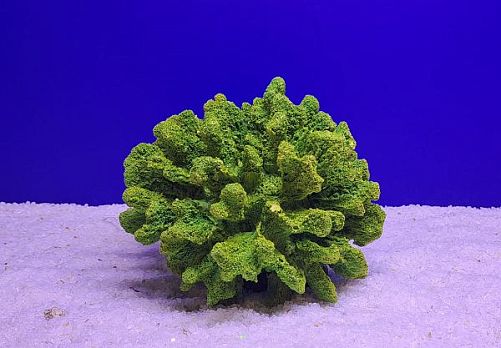 Кр-1617 Коралл средний, Зелёно-Желтый 18х17х14 см