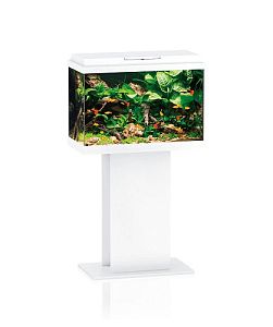 Аквариум JUWEL Примо 70 белый, 70 л, 61х31хh44 см