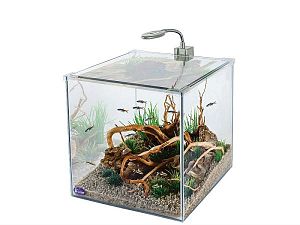 Аквариум Gloxy Optic Set-27, светильник, грунт + фильтр в&nbsp;подарок, 30х30&times;30&nbsp;см, 27&nbsp;л