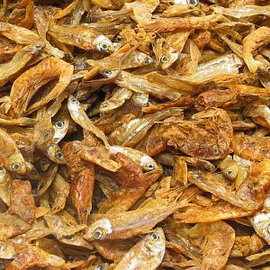 JBL Energil корм из&nbsp;целиком высушенных рыб и&nbsp;рачков для крупных водных черепах, 2,5&nbsp;л&nbsp; (1,430&nbsp;г)