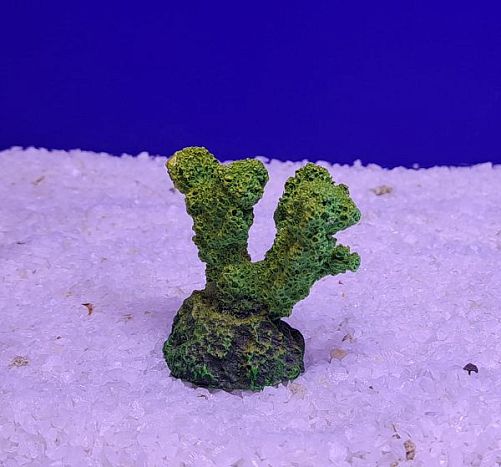 Кр-617 Коралл рога, Зелено-Желтый 5,5х3,5х5 см