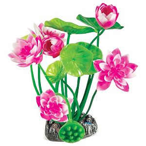 Растение Laguna &laquo;Нимфея розовая&raquo;, 200&nbsp;мм