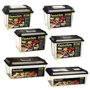 Exo Terra фаунариум большой, 37х22×24.5 см