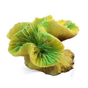 Коралл Laguna искусственный «Каталофиллия» зеленая, 70х65×40 мм