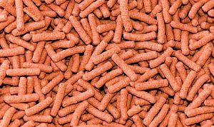 Корм Biodesign КОИ-КОЛОР для усиления окраса декоративных карповых рыб, плавающие палочки 11&nbsp;л