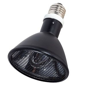 Обогреватель Repti-Zoo инфракрасный, 50 Вт, 95×110 мм