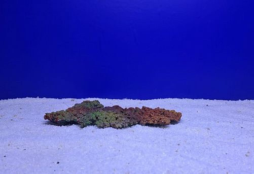 Камень Рифовый Цветной, 24х17х2.5 см,  374 г