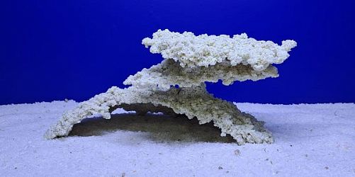 Камень Рифовый Белый, 30х21х15 см, 1580 г