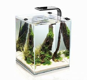 Aquael Shrimp Set SMART 30 аквариум черный, 30 л