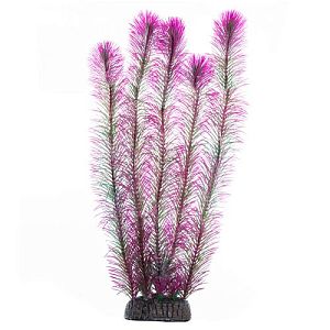 Растение Laguna «Перистолистник» фиолетовый, 400 мм