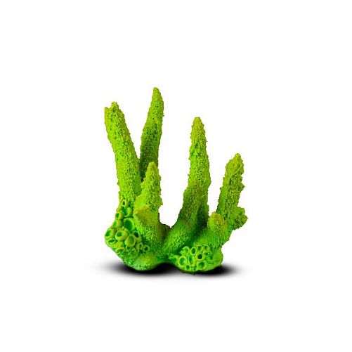 Коралл Коралловый пальчик Зеленый 13,5х14х11,5 см