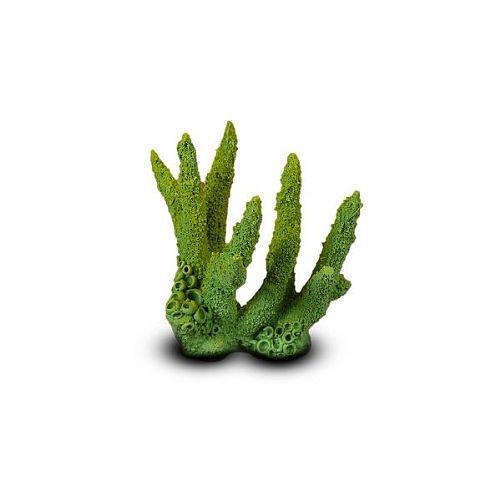 Коралл Коралловый пальчик Зелено-желтый 13,5х14х11,5 см