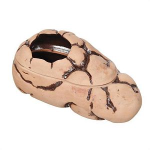 Декорация GLOXY Влажная камера M, светлая, 15х7×8 см