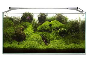 Светильник Aquael LEDDY SLIM PLANT д/аквариума 50−70 см, 10 Вт